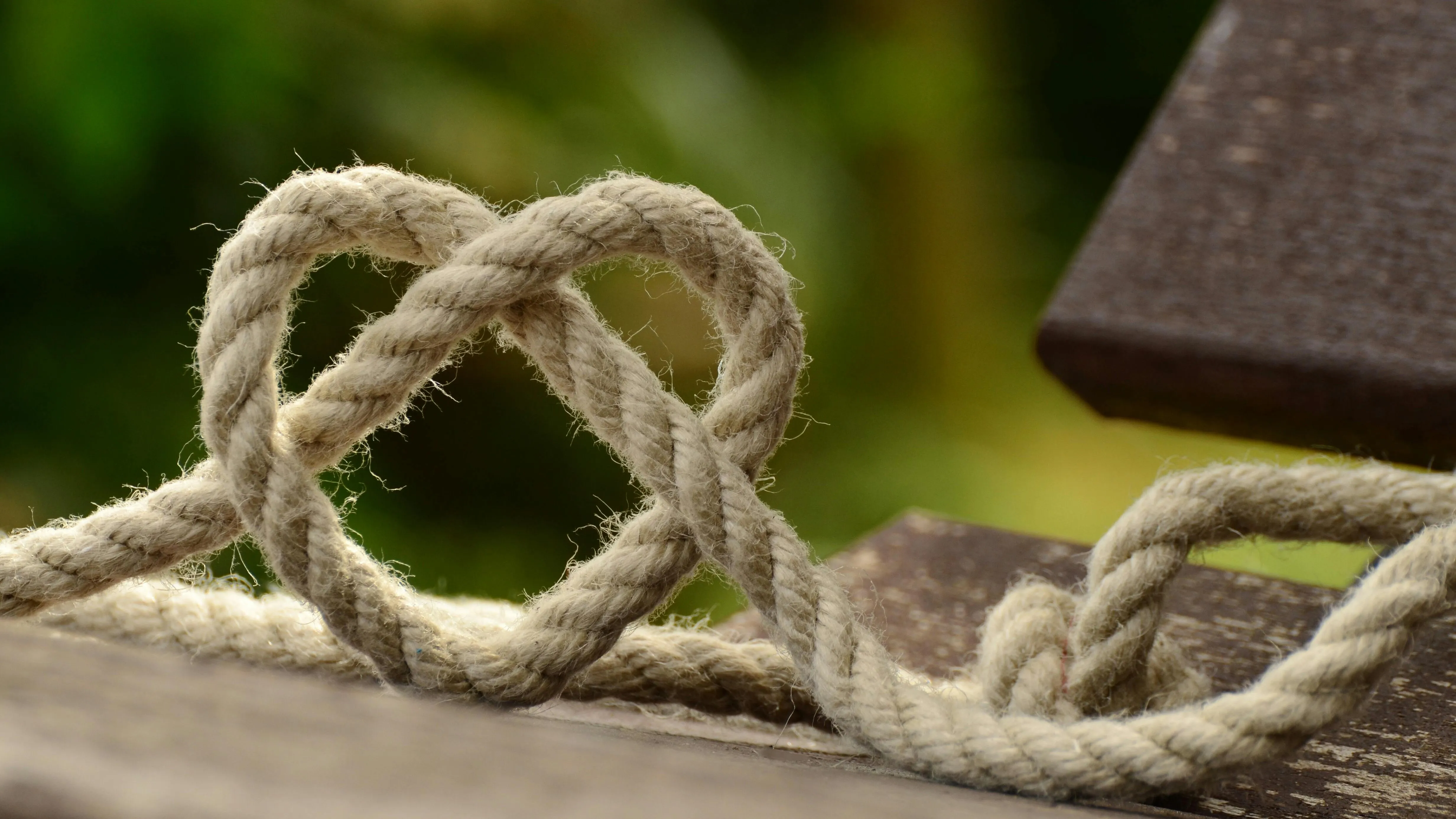 Gott schaut aufs Herz