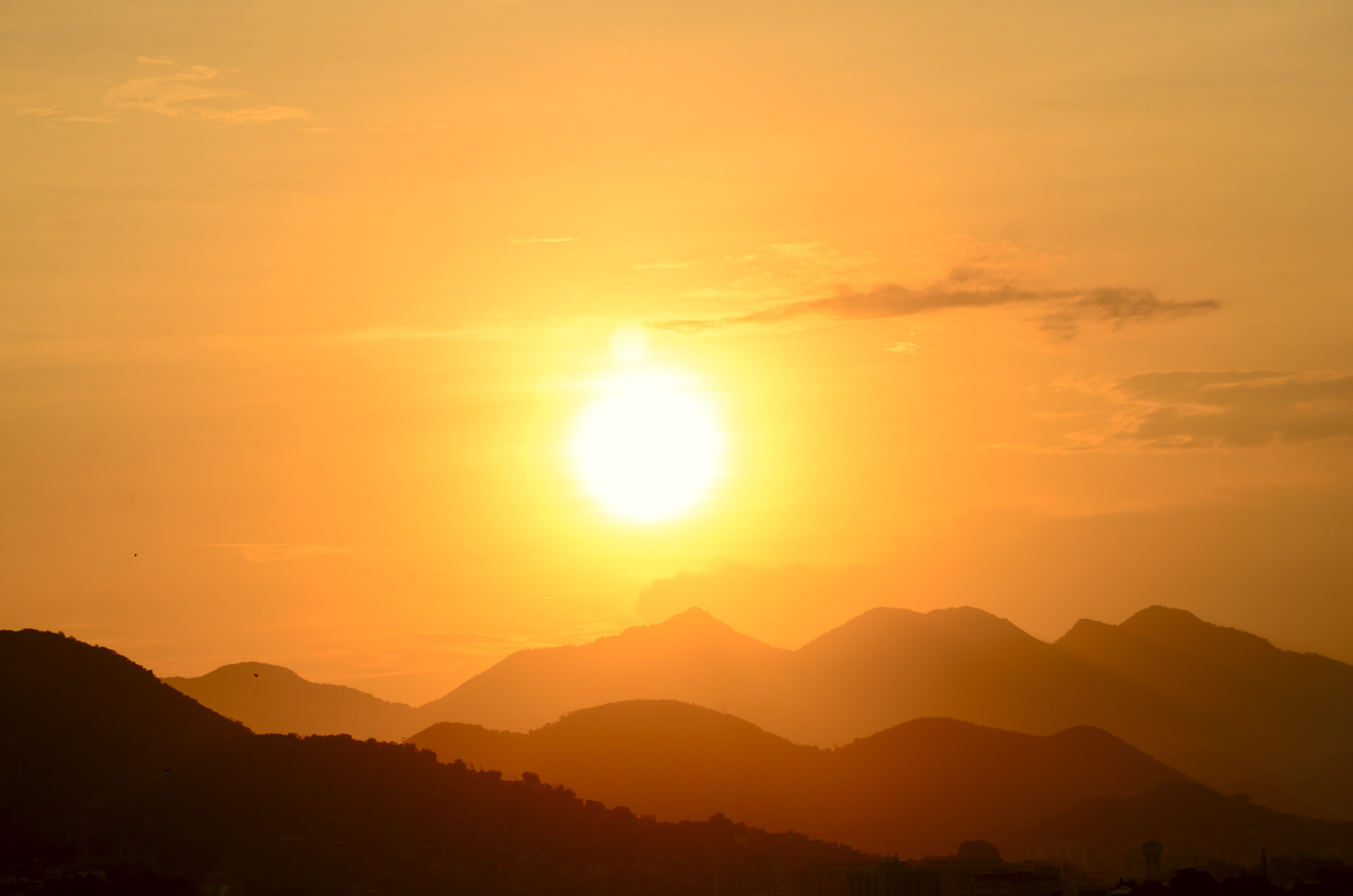 Morning has Broken Vogel singt auf Drahtseil
