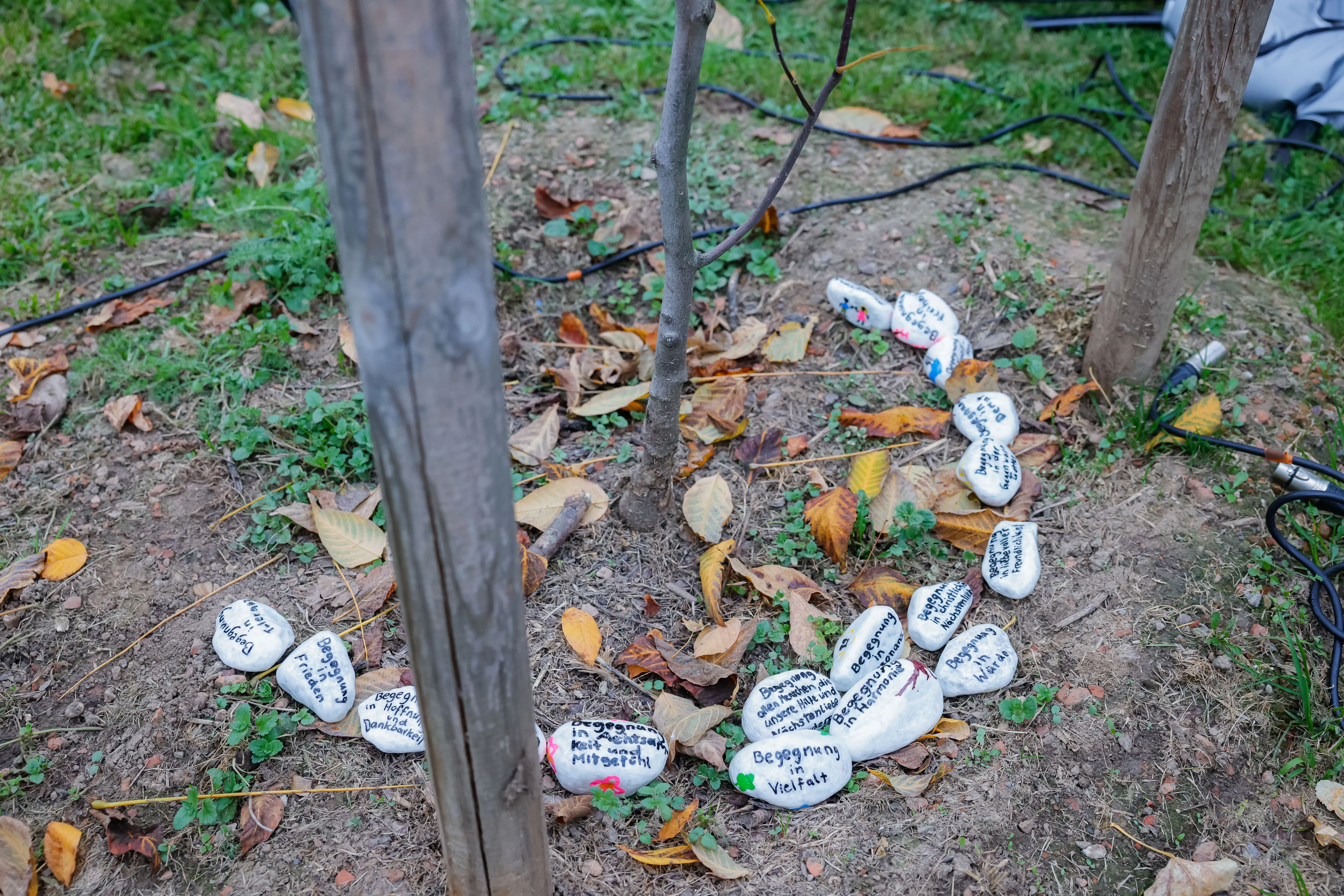 2. Tag der Religionen in Graz 2025 Leben ist Begegnung
Was Begegnung für die einzelnen Religionsgemeinschaften bedeutet.
Beschriftet Steine beim Baum der Religionen im Grazer Volksgarten.