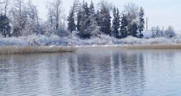 Wallersee