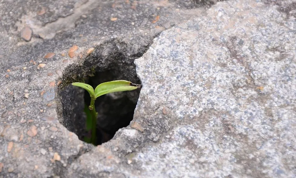 Gedankenstrich Januar 2026 Gedankenstrich Jänner 2026