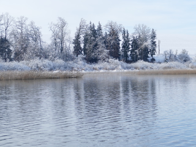 Wallersee
