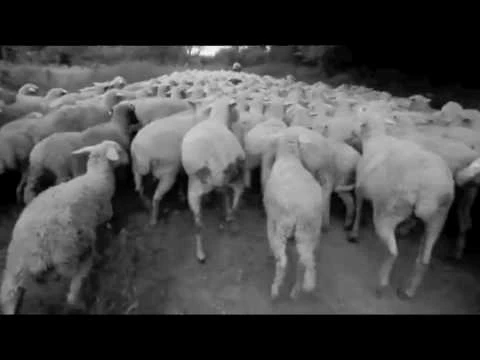 GLASHAUS - Von guten Mächten (Official 3pTV)