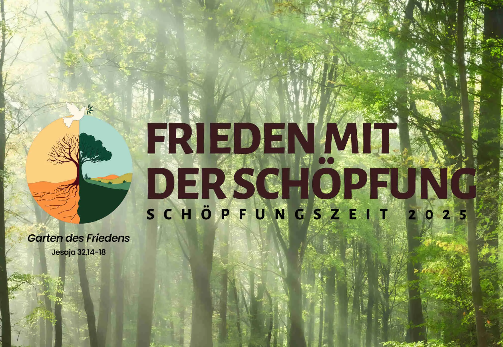 Schöpfungszeit 2025 unter dem Motto "Frieden mit der Schöpfung"