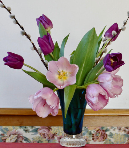 Tulpen