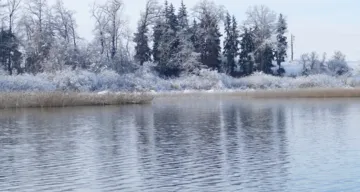 Wallersee