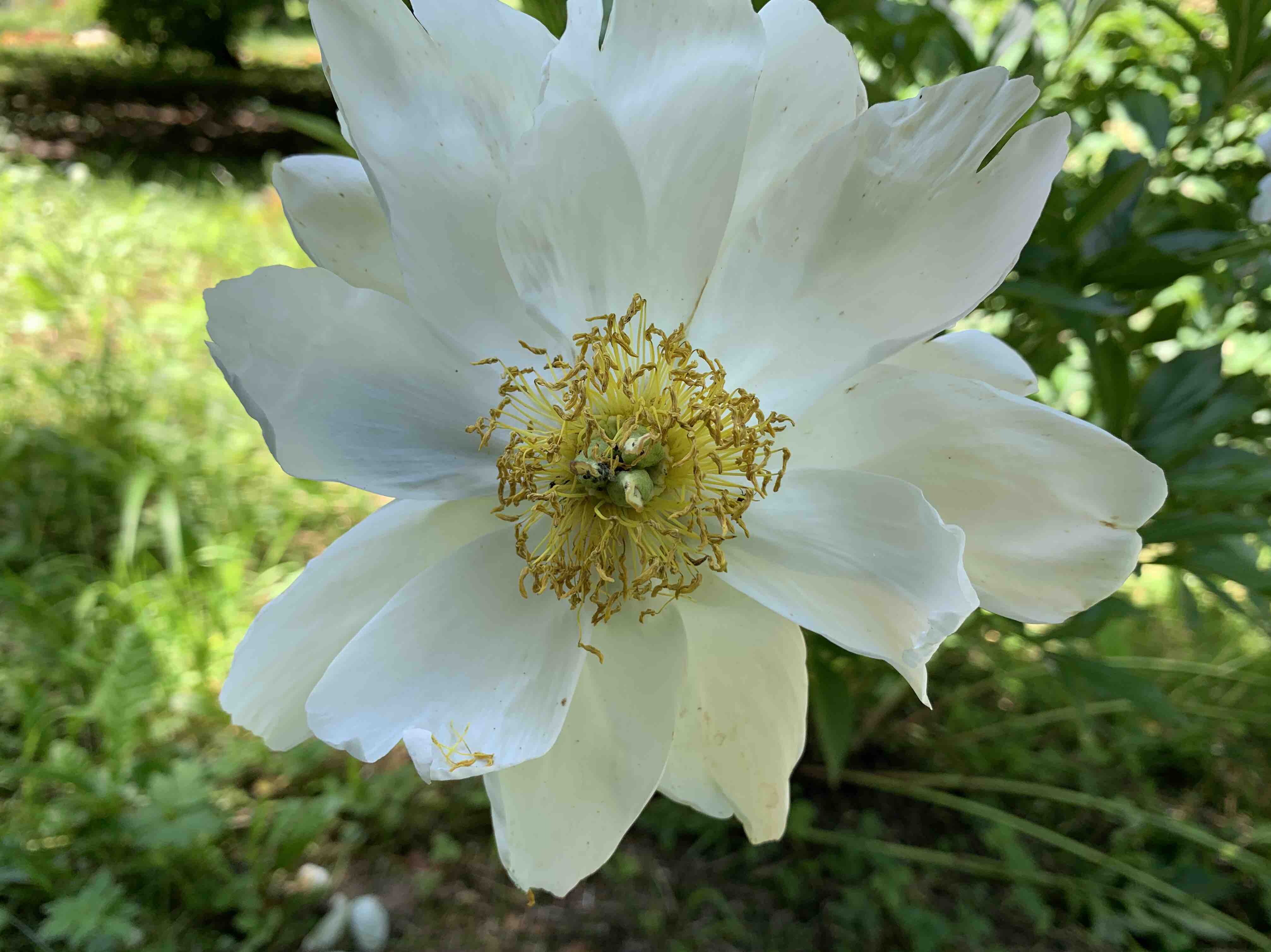 Calling, Preservation and Encounter