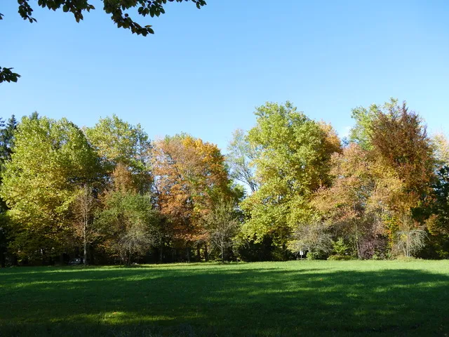 Herbst