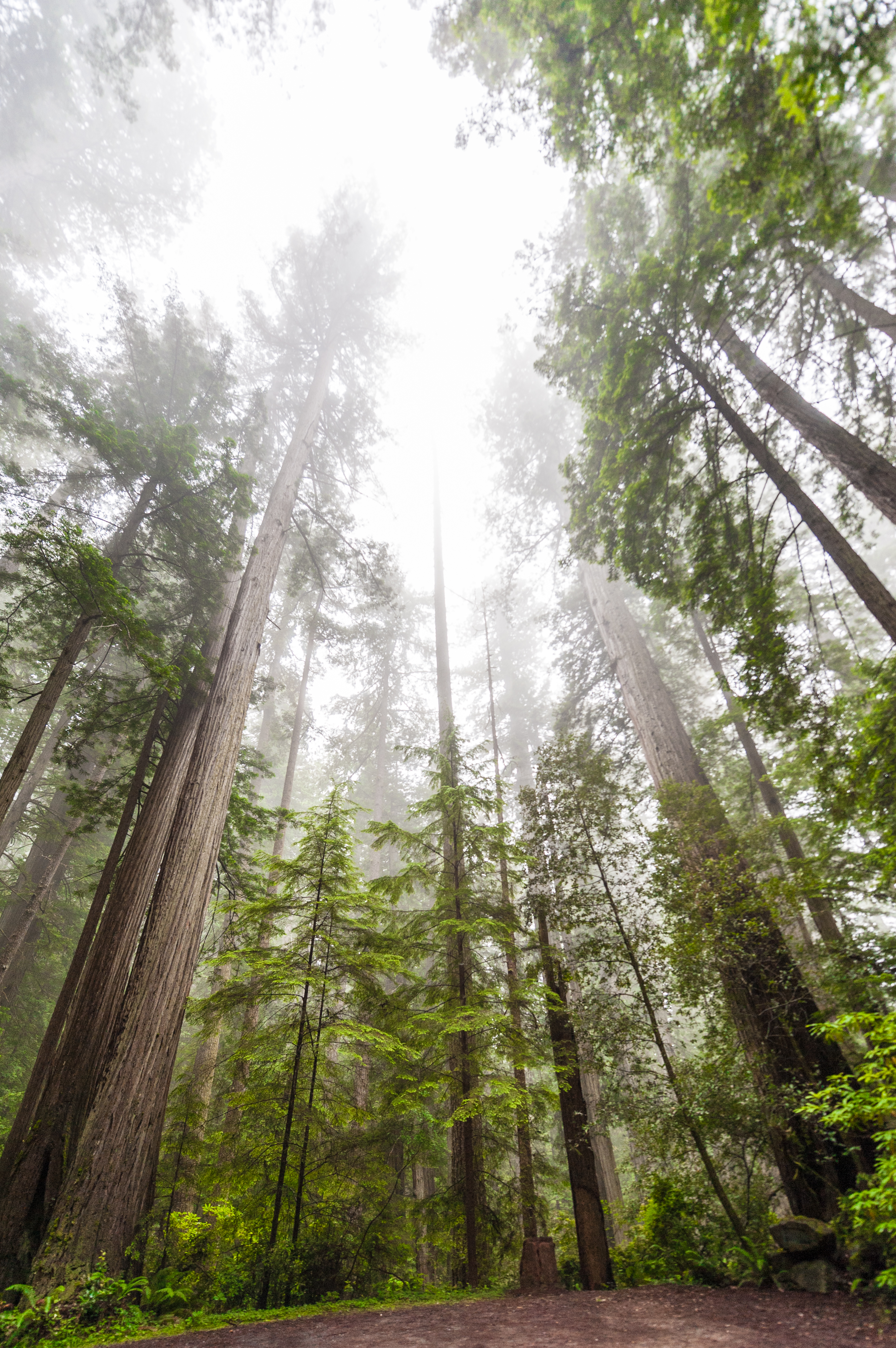 A Conversation about Creation Care